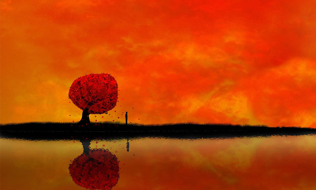 临沂笙影微信朋友圈转发案例